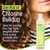 NOTHING BUT Clarifying Shampoo Sulfate-Free Detox for Natural Hair - Hair Shampoo - Removes Buildup - 12oz - Single