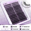 ALICE Cluster Eyelash Extension Kit Natural Wispy Lash Clusters Kit DIY Lash Extension Kit Fluffy 196pcs 10-18mm Individual Lashes with Mix 4-7mm of Lash Band Lash Glue Lash Twezeers