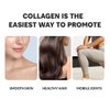 Cevitol Marine Collagen Peptides - Hydrolyzed Ultra-fine Collagen Powder for Women & Men, Hyaluronic Acid, Biotin, Vitamin C, for Skin, Hair, Nails, Joints, Non-GMO, Unflavored, Easily Dissolved, 16oz