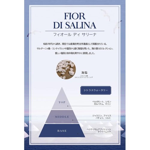 L'Erbolario Fior Di Salina Shower Gel - Foamy Gel Similar To Seafoam - Full Of Marine, Aromatic And Citrus Notes - Leaves The Skin Feeling Fresh And Soft - Paraben Free - Long Lasting - 8.4 Oz
