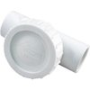 Waterway 600-4000 AIR Check Valve 1" S x 1" S TEE White