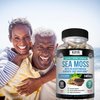 Kaya Naturals Sea Moss | Joint Supplement for Men and Women | with Organic Burdock Root, Irish Moss, Bladderwrack, and BioPerine | for Joint Health and Immune Boost, 60 Count