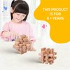 Brain Teaser Puzzle 3Pcs Unlock Interlock Game IQ Test Wooden Toy 3D Unlock Interlock Puzzle Magic Ball Brain Teaser Toy Puzzles for Adults …