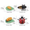 Generic Ladybug Growth Cycle, Ladybug Figurine Ladybug Life Cycle Model Set with 4 Instruction Cards, Animal Growth Cycle Biological Model, Early Education Animal Figures for Kids