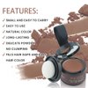 VOLLUCK Root Touch Up Hair Powder Root Cover Up Hairline Shadow Powder Stick, Root Touch Up for Thinning Hair for Women and Men, Bald Spots, Eyebrows, Beard Line, Auburn