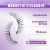 Magnetic Eyelashes with Applicator No Glue Reusable Magnetic Lashes Natural Lightweight Soft Magnetic Eyelash Wispy Easy to Use,2 Pairs of 2 Styles by Wendy Lashes(079/B01)