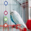 Neeenn Bird Mirror Toy with Bell, Hanging Parrot Interactive Toy, Bird Cage Accessories, Suitable for Small and Medium Birds Parakeets Cockatiels Lovebird