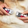 Dog Collar Seatbelt Buckle Texas Flag Texas 18 to 32 Inches 1.5 Inch Wide
