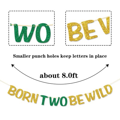 RoadSea Born Two Be Wild Banner - Boy Girl Kid 2nd Birthday Party Supplies - Baby Shower Idea and Gift - Two Years Old Birthday Party Decorations - Gold Glitter