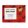 NATURE'S APOTHECARY Happy Camper Premium Bar Soap - Cold-Processed Castile Soap - Eco-Friendly, Vegan, Hypoallergenic, All-Natural, Plant-Derived, Handmade in USA by DAYSPA Body Basics