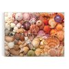 Galison Vibrant Seashells – Christine Chitnis 1000 Piece Puzzle Featuring Chromatic Seashell Arrangement On Sand