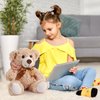 Civaner 4 Pack 14 Inches Valentine's Day Bear Plush Stuffed Animals Cute Soft Bears Gifts Bulk for Girls Boys Girlfriend(Light Brown)