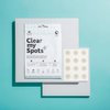 Nature Spell Clear My Spots Pimple Patches, Translucent Hydrocolloid Patches, Fast-Healing Acne Spot Treatment, Acne Patches, Pack of 36