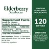 Nature's Bounty Sambucus Elderberry Herbal Supplement, for Immune Support Rapid Release Softgels, 630 mg per Serving, 120 Count