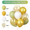 Sage Green Birthday Decorations,Women Girls Boho Party Decorations with Sage Green White Gold Confetti Birthday Balloons Happy Birthday Banner Gold Fringe Curtain Tissue Paper Pompoms Star Garland