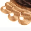 𝗜𝗻𝘀𝗤𝘂𝗲𝗲𝗻 Ombre Human Hair Bundles with Closure 100% Unprocessed Virgin Brazilian Human Hair Body Wave 4 Bundles with 4x4 Lace Closure Free Part (10 10 10 10+10#T1B/4/27)