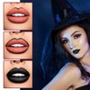PPPanYiDi Black Matte Lipstick and Lip Liner Set,Long Lasting Moisturizing Black Lip Liner and Gloss Set,Waterproof Smudge Proof Liquid Lip Stain Makeup Kit for Halloween Goth Cosplay Party