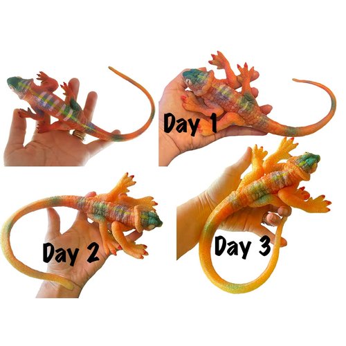 Set of 3 Jumbo Grow an Animal in Water - Shark, Lizard, Frog - Grows - Fun Sea Critter Toy Bath Fun Science Expanding Novelty Magic Absorbent Polymer Toy (Random Colors)