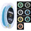 Goture Fly Fishing Line Weight Forward Floating Fly Line (Sky Blue, WF6F)