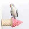 Bird Toy, Parrot Cage Chewing Toys, Parrot Perch Stand, Ice Cream Shape Totoro Squirrel Hamster Calcium Teeth Mouth Molar Grinding Stone Parrot Beak Stone Stand Platform (Small)