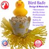 Bonka Bird Toys 2703 Ducky Bath Sola Atta Chew Small Parrot Cage Toy, Cockatiel, Parakeet, Lorie, and Similar Breed Sizes