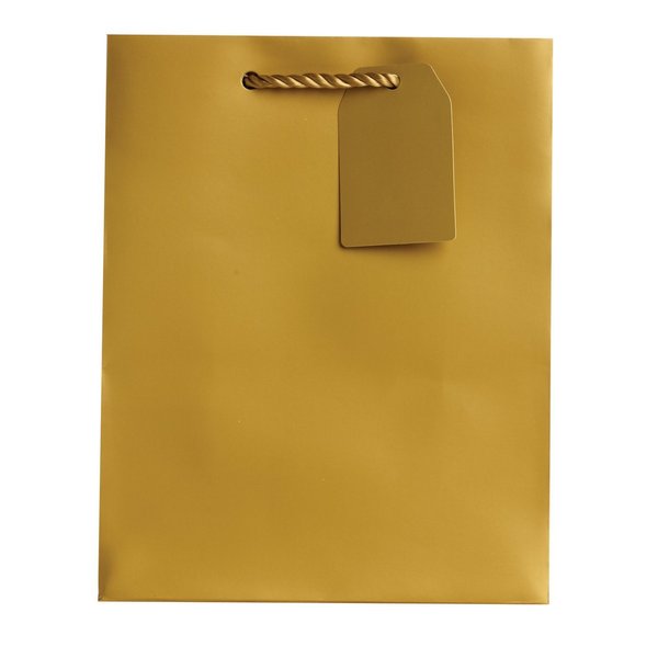 JILLSON & ROBERTS 6-Count Medium 8" x 10" x 4" All-Occasion Gift Bags Available in 20 Solid Colors, Gold Matte