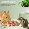 ERKOON Chinchilla Treats, Chew Toys for Teeth for Rabbit Guinea Pig Gerbil Rat Dwarf Hamster (Treats)