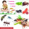 PINOWU 27pcs Bug Toy Figures Playset for Kids Boys, 2-6” Fake Bug Insects - Fake Spiders, Cockroaches, Scorpions, Crickets, Lady Bugs, Butterflies and Worms for Education and Christmas Party Favors