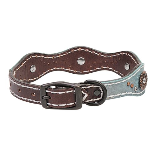 Weaver Pet Savannah Dog Collar Brown/Metallic Turquoise, 1 X 19-Inch