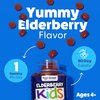Feel Great Kids Elderberry Gummies with Zinc and Vitamin C | Kids Immune Support Sambucus Elderberry Gummies | Berry Flavored Vegan Kids Multivitamins | 90 Day Supply