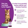Special Breed L-Lysine for Cats & Kittens – Immune, Respiratory & Eye Health Support – Liquid Cat Supplement with Astragalus, Burdock, Atractylodes, Dangshen & Vitamins A, B1, B2, B6 – 4oz (120mL)