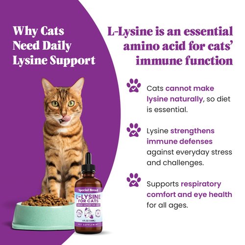 Special Breed L-Lysine for Cats & Kittens – Immune, Respiratory & Eye Health Support – Liquid Cat Supplement with Astragalus, Burdock, Atractylodes, Dangshen & Vitamins A, B1, B2, B6 – 4oz (120mL)