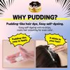 eZn Pudding Hair Dye Ammonia Free Semi-Permanent Self Hair Dye DIY Kit included contain Keratin Made in Korea Beauty (Ash Gray)