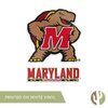 Desert Cactus University of Maryland Stickers Terrapins UMD Terps Vinyl Decal Laptop Water Bottle Car Scrapbook11.5x9 (4 Inch Set V1)