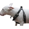 Black Genuine Leather Dog Harness, Medium. 25"-30" Chest, 1" Wide Adjustable Straps