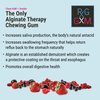 Reflux Gourmet Berry Soothe Gum Alginate Therapy Sodium Bicarbonate Gum for Acid Reflux, Oral, Cognitive, and Digestive Support, Natural with Ginger, Celeriac and Aloe, Sugar Free, Gluten Free, Vegan