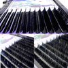 2 Trays Easy Fan Volume Eyelash Extensions, Lash Extension Supplies, Soft Faux Mink Individual Lashes, Camellia Self Fanning Blooming, 0.05-D, 8mm-12mm Mix Tray, Blue-Black