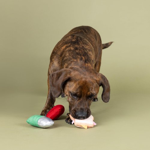 Fringe Studio Plush Dog Toy Set, Tool Time Treats, 3 Piece Set, Pet Shop Collection (662045)