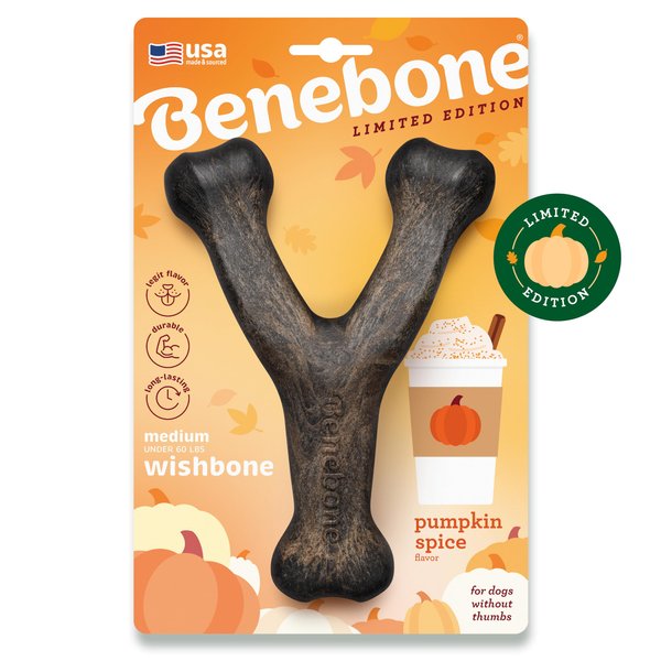 Benebone Pumpkin Spice Wishbone – Limited Edition Flavor, Durable Dog Chew Toy for Aggressive Chewers, Made in USA, Medium
