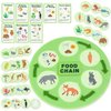 Creatoy Life Cycle Kit, Montessori Toys for Toddler Animal Learning, Food Chain & Food Web Science Education Toys, Science Kits for Kids Preschool Classroom Must Haves