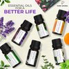 Essential Oils Set by Pure Aroma - Top 6 Aromatherapy Oils Gift Set-6 Pack, 10ml(Eucalyptus, Lavender, Lemongrass, Sweet Orange, Peppermint, Tea Tree)