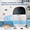 Ultrasonic Pest Repeller Plug-in: Mice & Rodent Repellent Indoor – Electronic Rat Repellent for Home, Get Rid of Roaches, Bugs, Mosquitoes, Ants & Flies – Safe & Humane, 2-Pack, Patent Pending