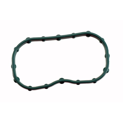 GM Genuine Parts 12648665 Engine Intake Manifold Seal