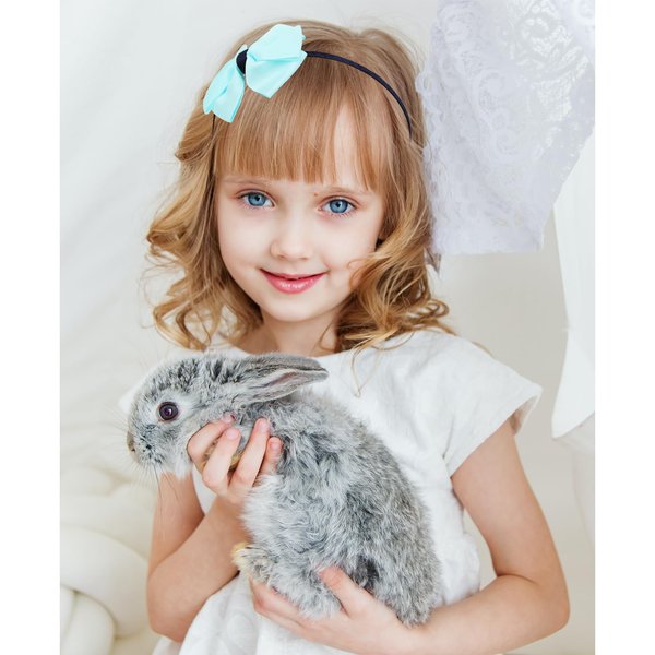 AMCAMI 2 PCS Pink and Blue Women Bow Headband for Girl and 4 PCS Bow Hair Clips for Women