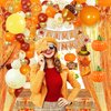 YJDFWAUT Thanksgiving Party Decorations Supplies, Thanksgiving Banner Hanging Swirls for Autumn Holiday, Turkey Autumn Hanging Decorations, Thanksgiving Foil Fringe Curtain Balloon Garland