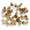 Uncle Mike's Chicago Screws Chicago Screws Gold Brass 24 Pack, Clam 25090