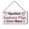 Guinea Pig Toys And Accessories Big Hamster Ball For Guinea Pig Cage Accessories Guinea Pig Corner Hideout Stuffed Animals Spoiled Guinea Pigs Live Here Sign Kitchen Signs Hanging Wood Decor 12x6 In