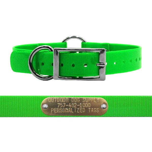 Outdoor Dog Supply's 1" Wide Solid Ring in Center Dog Collar Strap with Custom Brass Name Plate (18" Long, Lime Green)