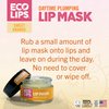 Eco Lips Plumping Daytime Lip Mask with Hyaluronic Acid and Upcycled Cloudberry Oil, 2-pack by Eco Lips 100% Natural. Made in USA