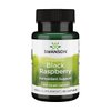 Swanson Black Raspberry - Herbal Supplement Promoting Overall Wellness Support - Natural Source of Flavonoids & Vitamin C - (60 Capsules, 425mg Each)